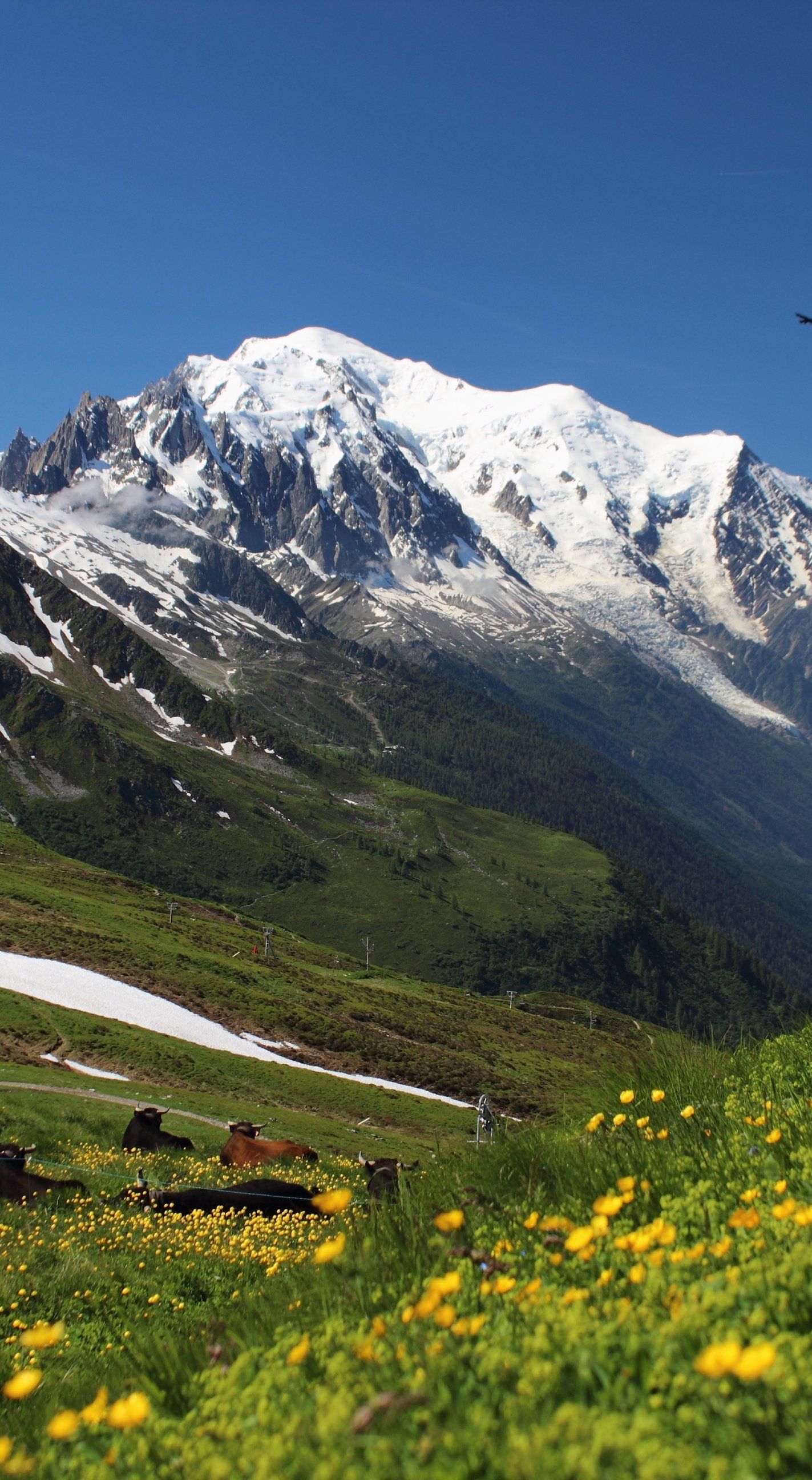 Mont Blanc - HD Wallpaper 