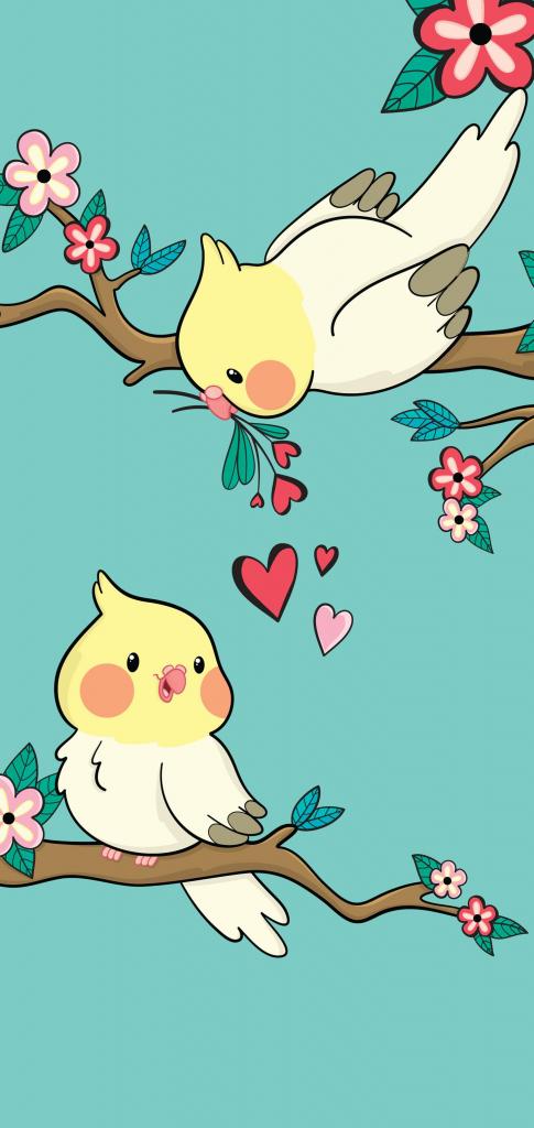 Cockatiel Cartoon - HD Wallpaper 