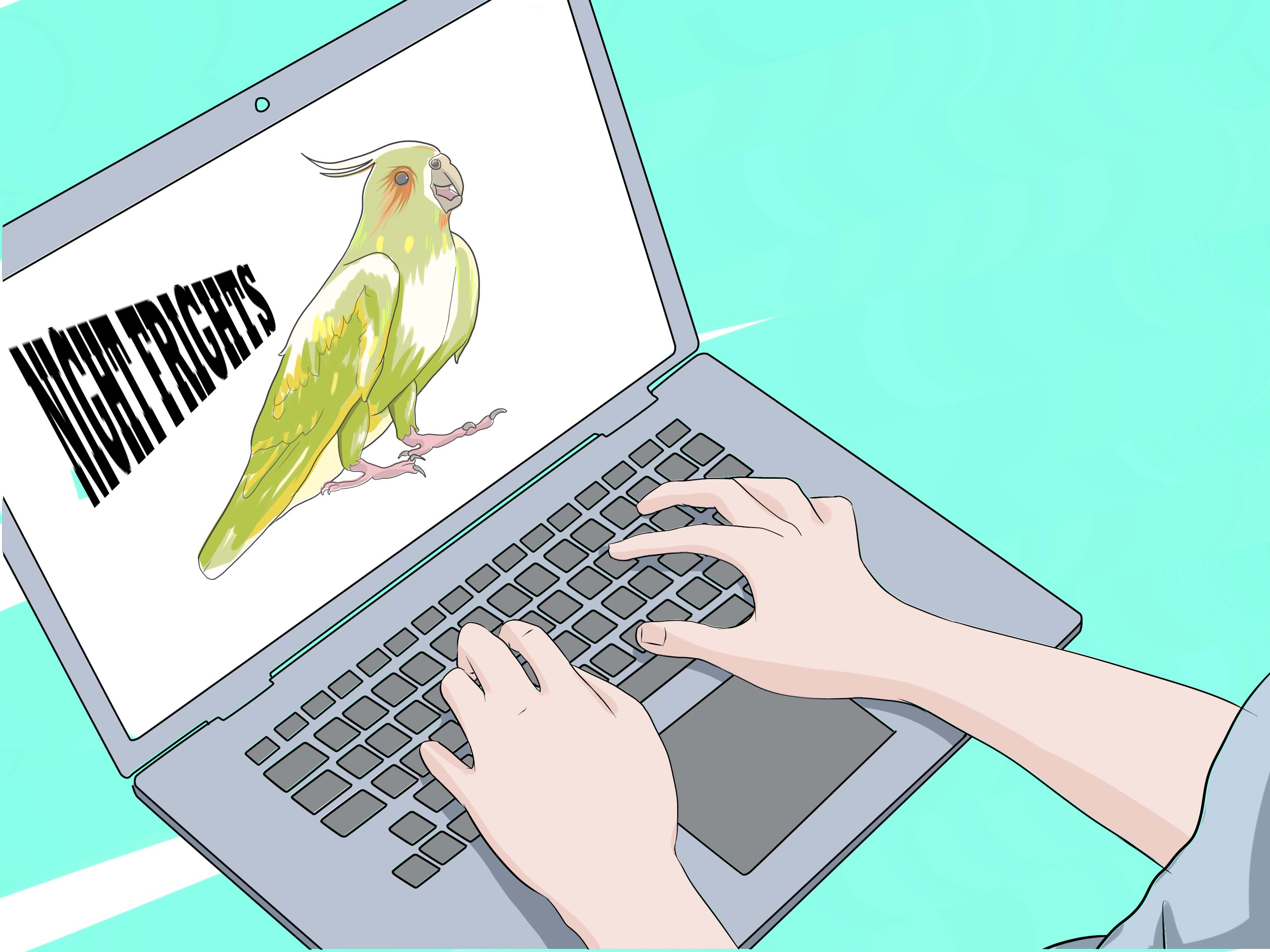 Image Titled Take Care Of A Cockatiel Step - Cockatiel Wikihow - HD Wallpaper 