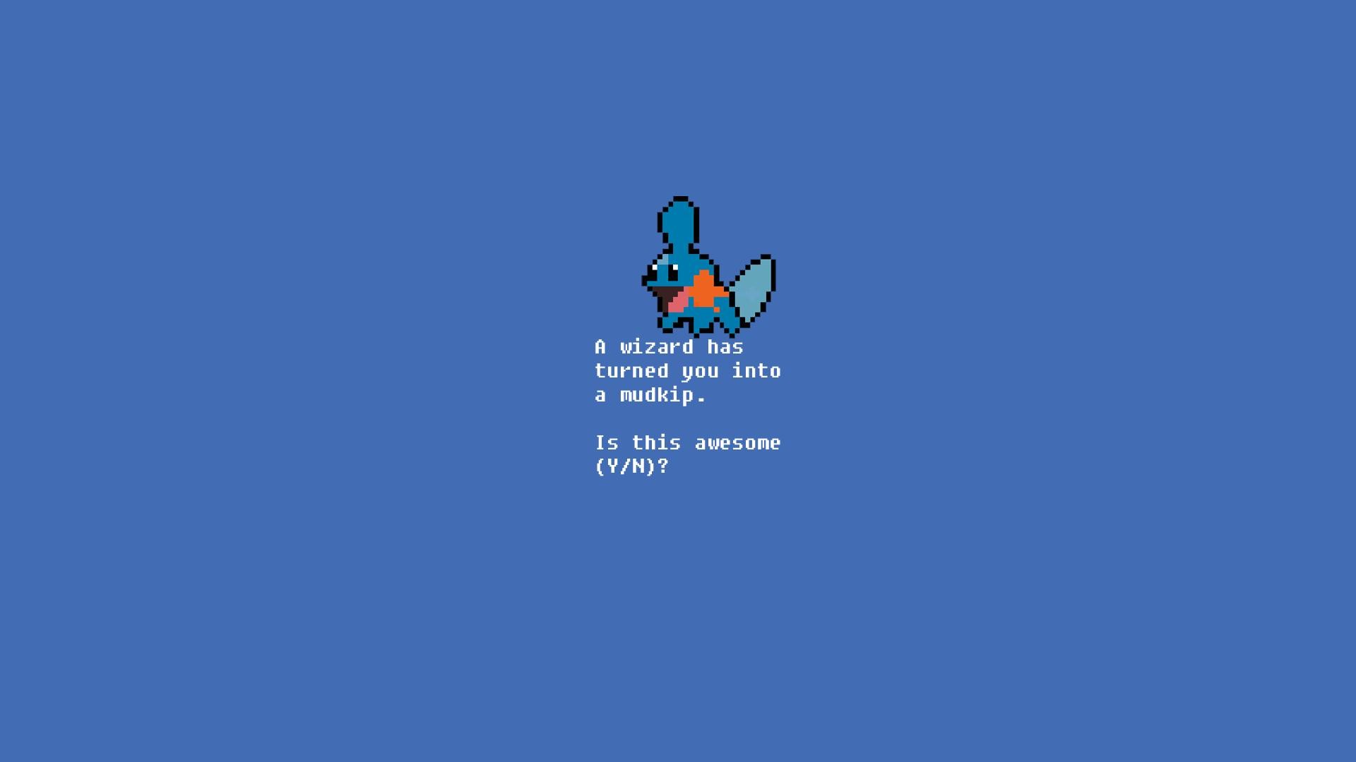 8 Bit Mudskip Pokemon Wallpaper 
 Data Src Download - You A Wizard - HD Wallpaper 