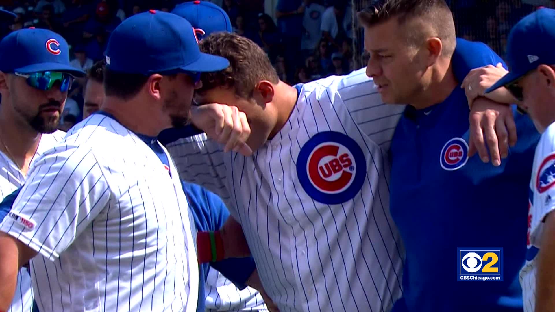 Chicago Cubs - HD Wallpaper 