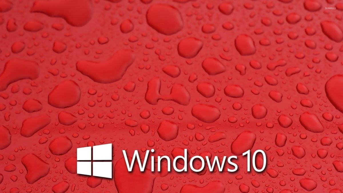 Windows 10 On Blue Hydrangeas [4] Wallpaper Computer - Hd Windows 10 Pro Wallpaper Download - HD Wallpaper 