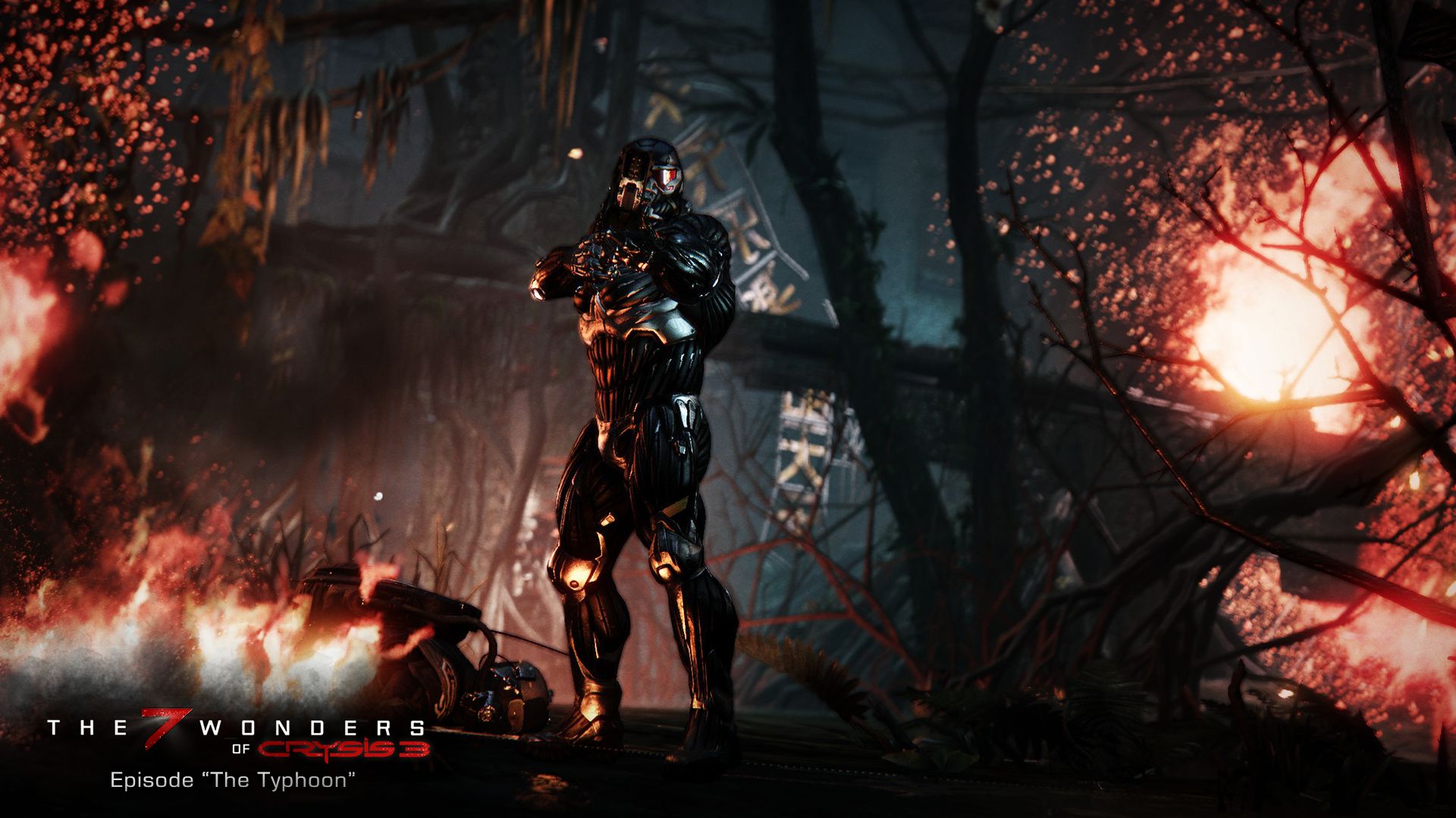 Crysis 3 - HD Wallpaper 