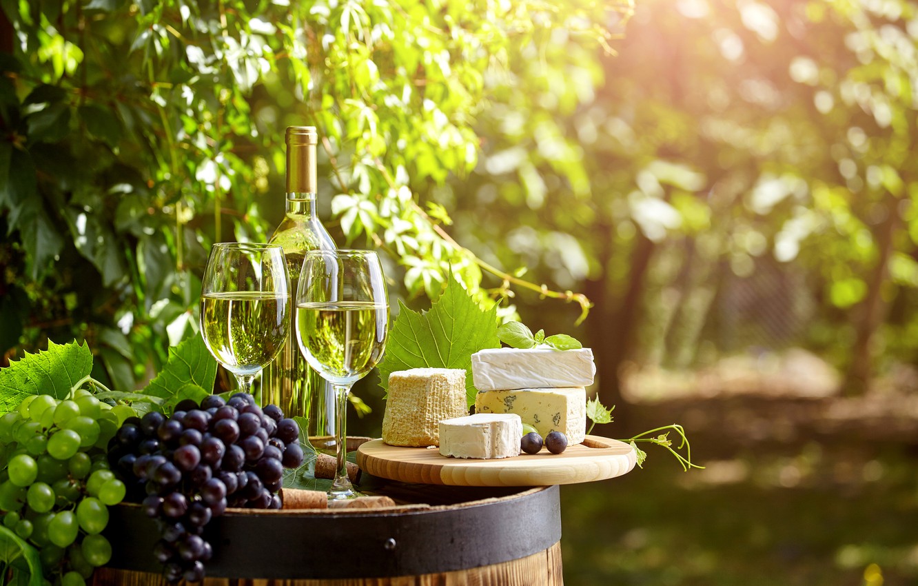 Photo Wallpaper Greens, Wine, Bottle, Cheese, Garden, Winery Tours