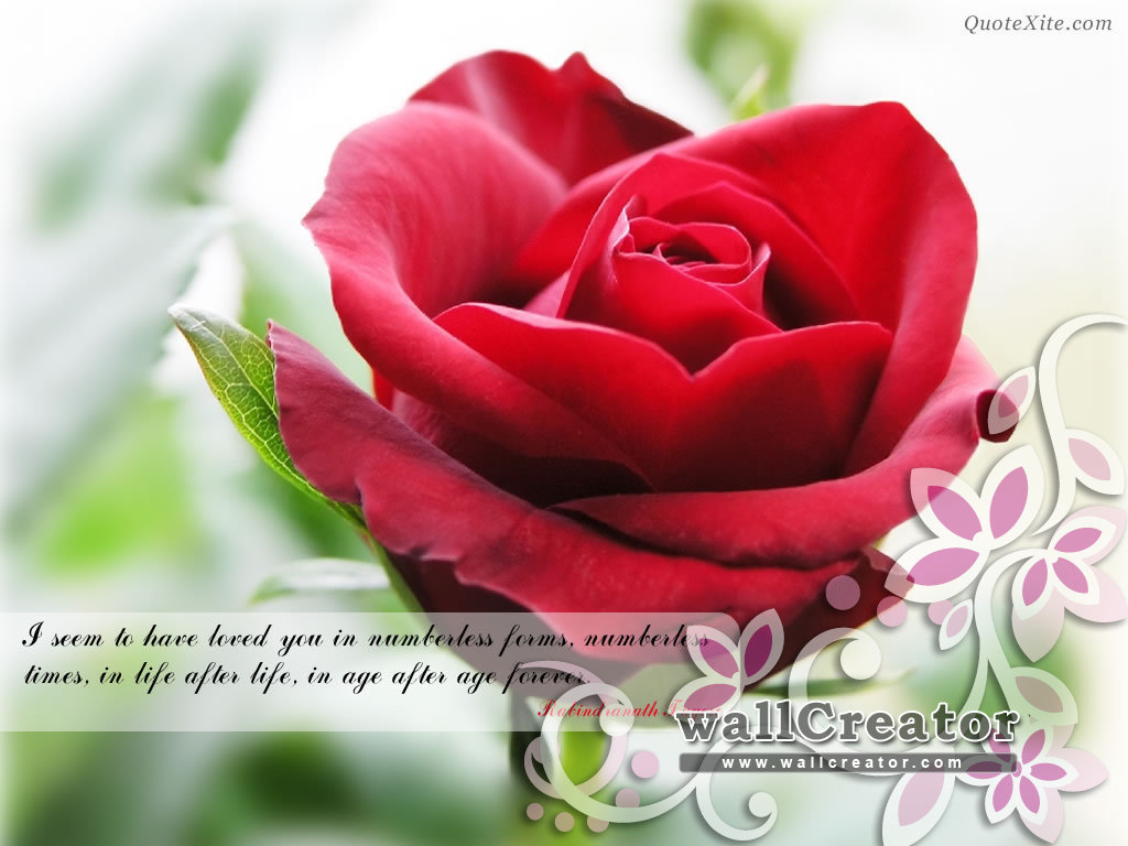 1024 / 768 Wallpaper - Beautiful Wallpapers Of Flowers - HD Wallpaper 