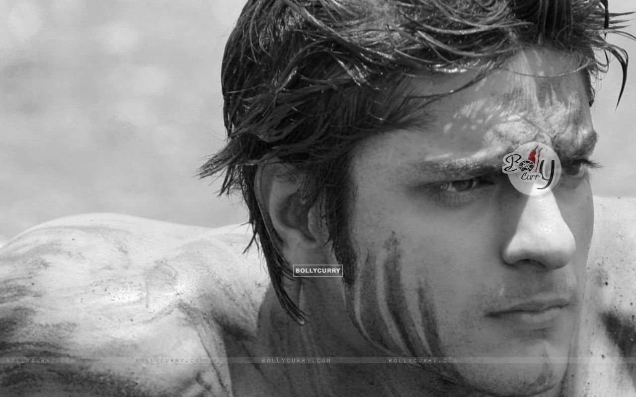 Ashish Kapoor Size - Human - HD Wallpaper 