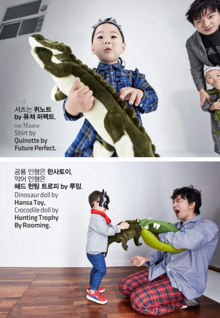 Daehan Minguk Manse Alligator - HD Wallpaper 