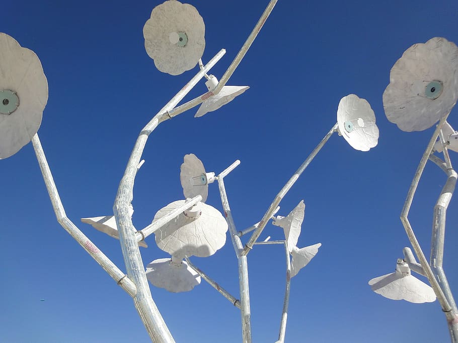 Burning Man, Flowers, Blue Sky, Winter, Nature, Snow, - Sky - HD Wallpaper 