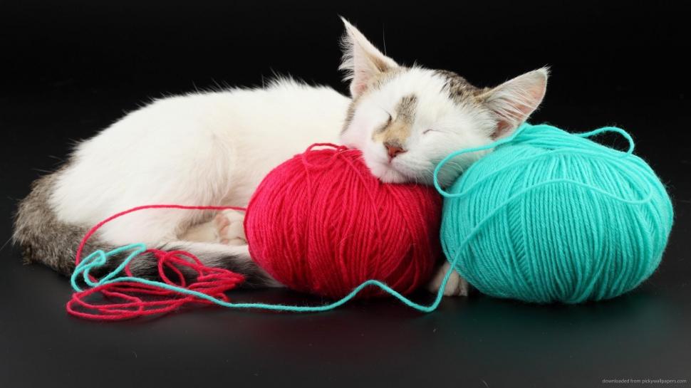 Cat Sleeping Witth Yarn Wallpaper,sleeping Hd Wallpaper,colors - Cat - HD Wallpaper 