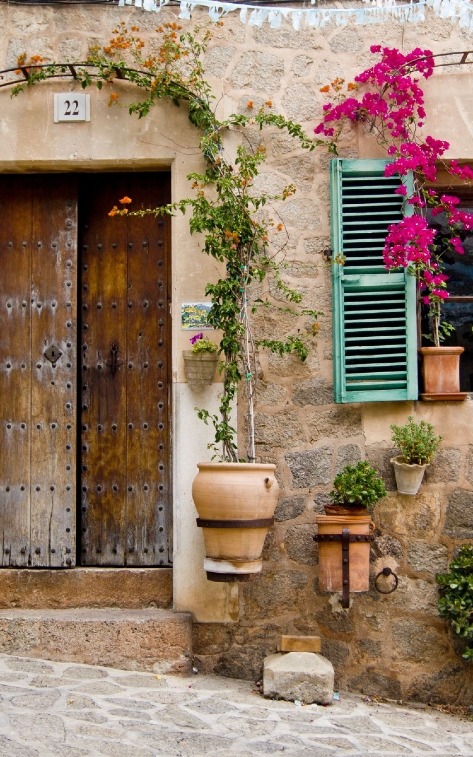 Palma De Mallorca, Flowers, Building, Window, Door - Train Bougainvillea - HD Wallpaper 