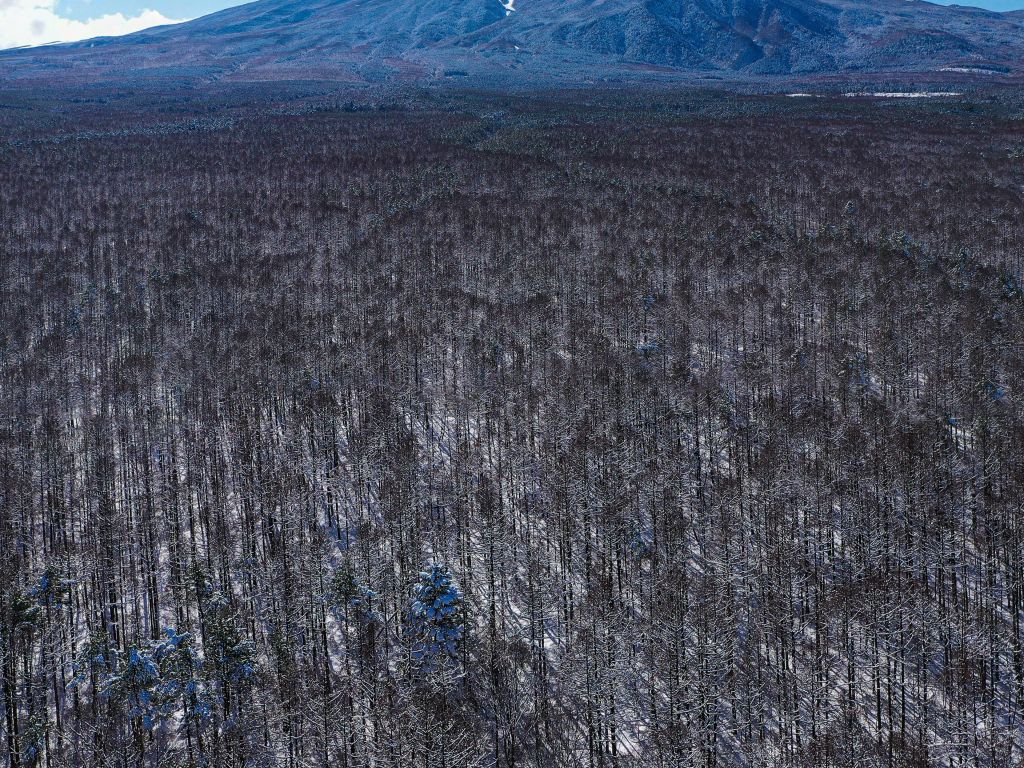 Fuji Morning After A Day Of Snow Wallpaper - Summit - HD Wallpaper 