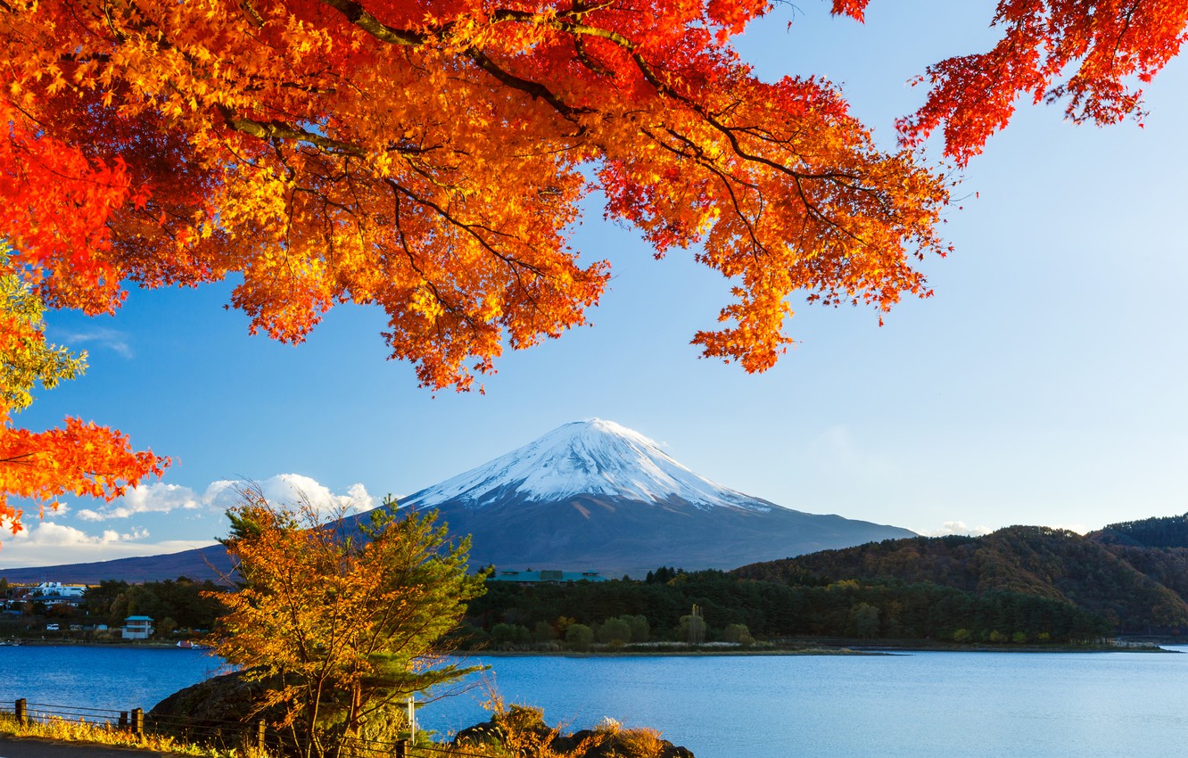 Photo Wallpaper Autumn, Forest, The Sky, Leaves, Snow, - Japan Autumn Mount Fuji - HD Wallpaper 