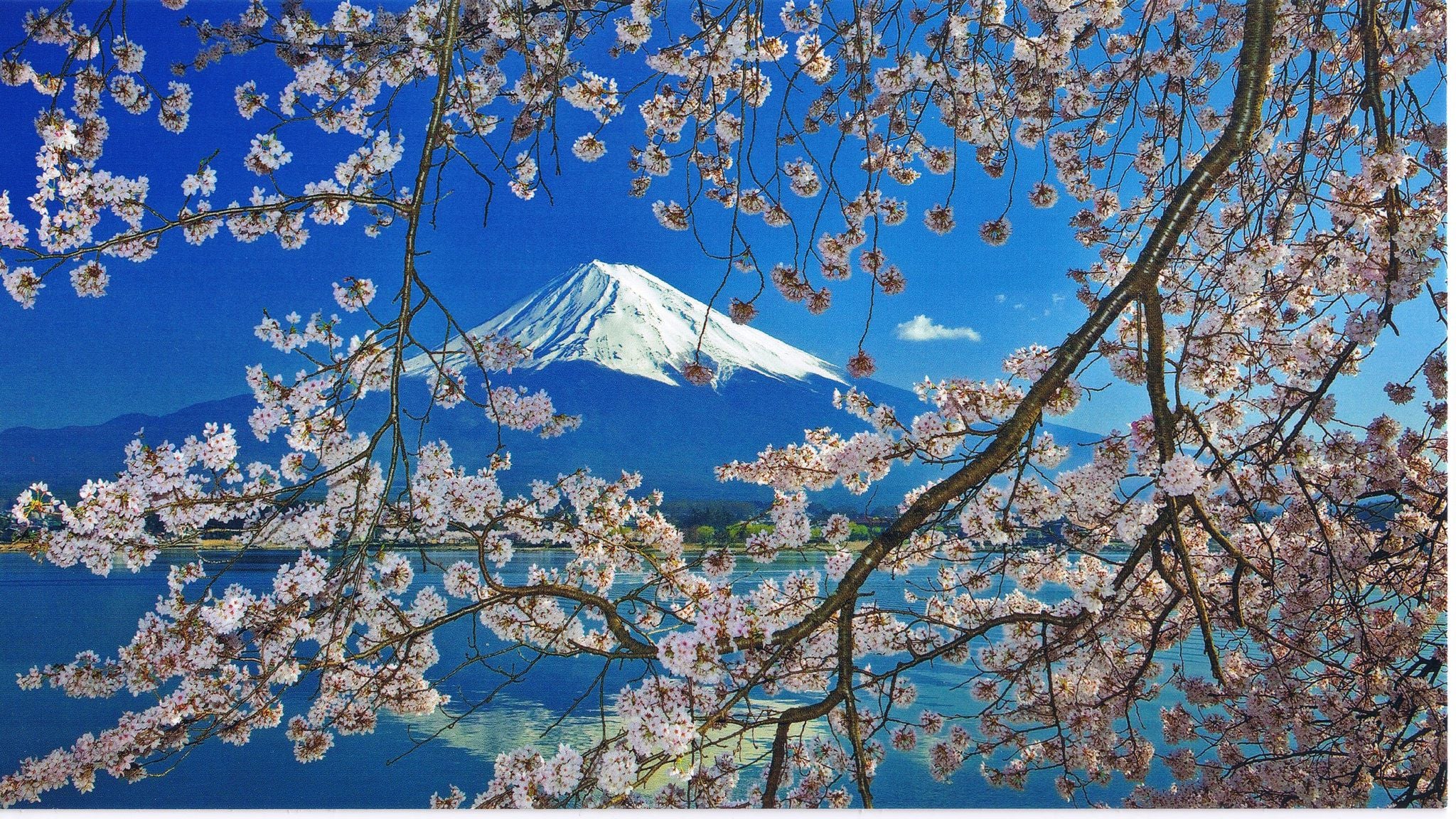 Cherry Blossom - 2048x1152 Wallpaper - teahub.io