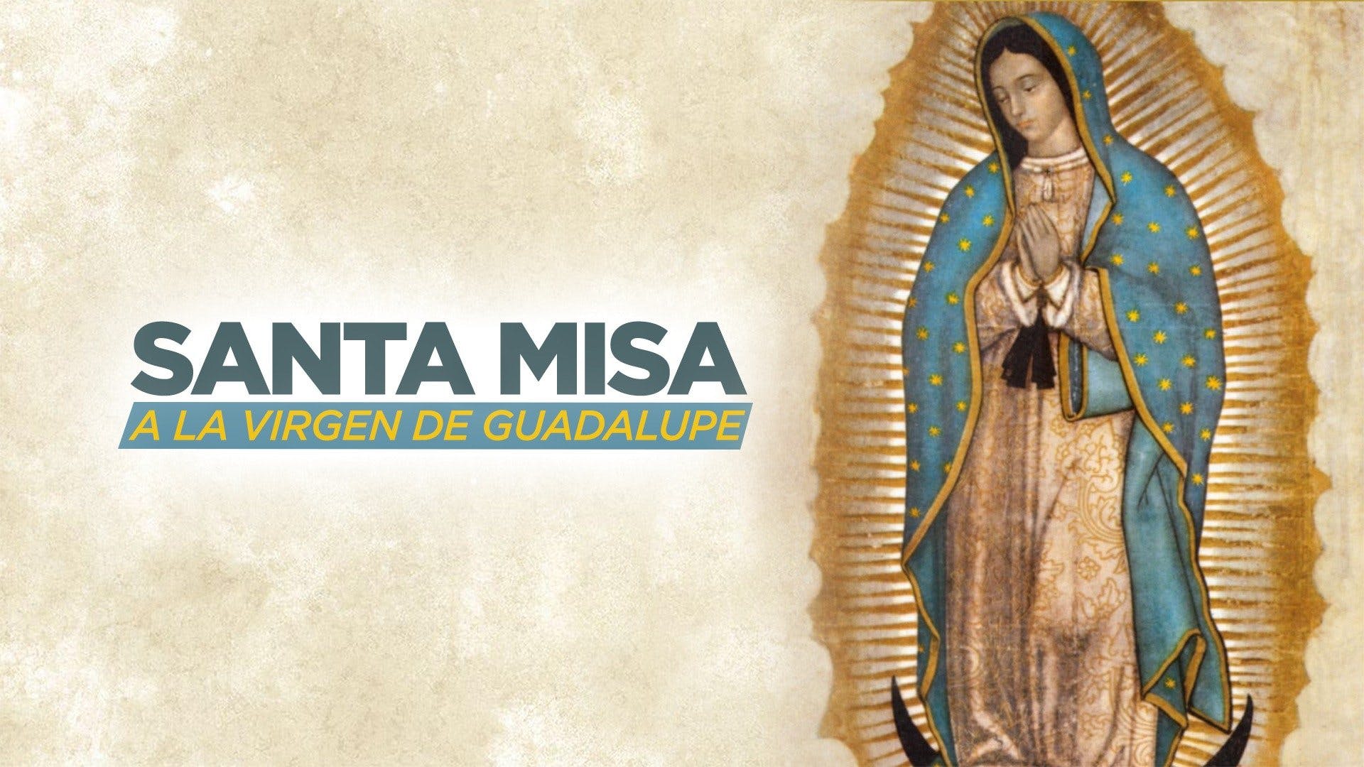 Logo Of Our Lady Of Guadalupe - HD Wallpaper 