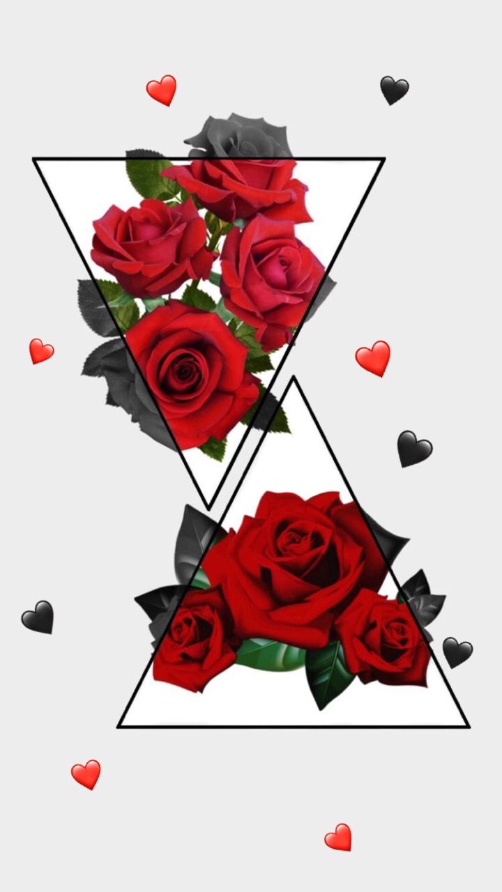 Aesthetic Roses Wallpaper Iphone - 720x1280 Wallpaper 