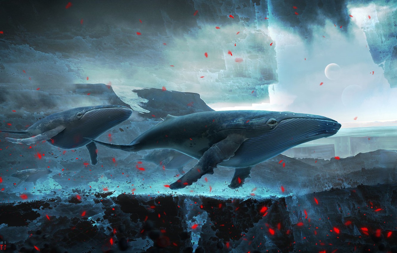 Photo Wallpaper Rocks, Birds, Planet, Pixelated - Whale In The Space - HD Wallpaper 