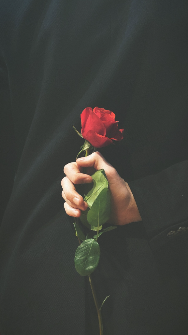 خلفيات رمزيات جميلة - HD Wallpaper 