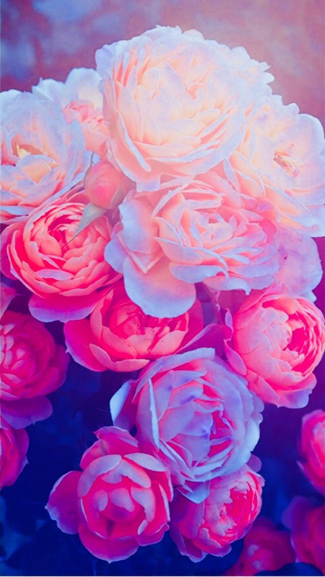 Cute Pinterest Colorful Backgrounds - HD Wallpaper 