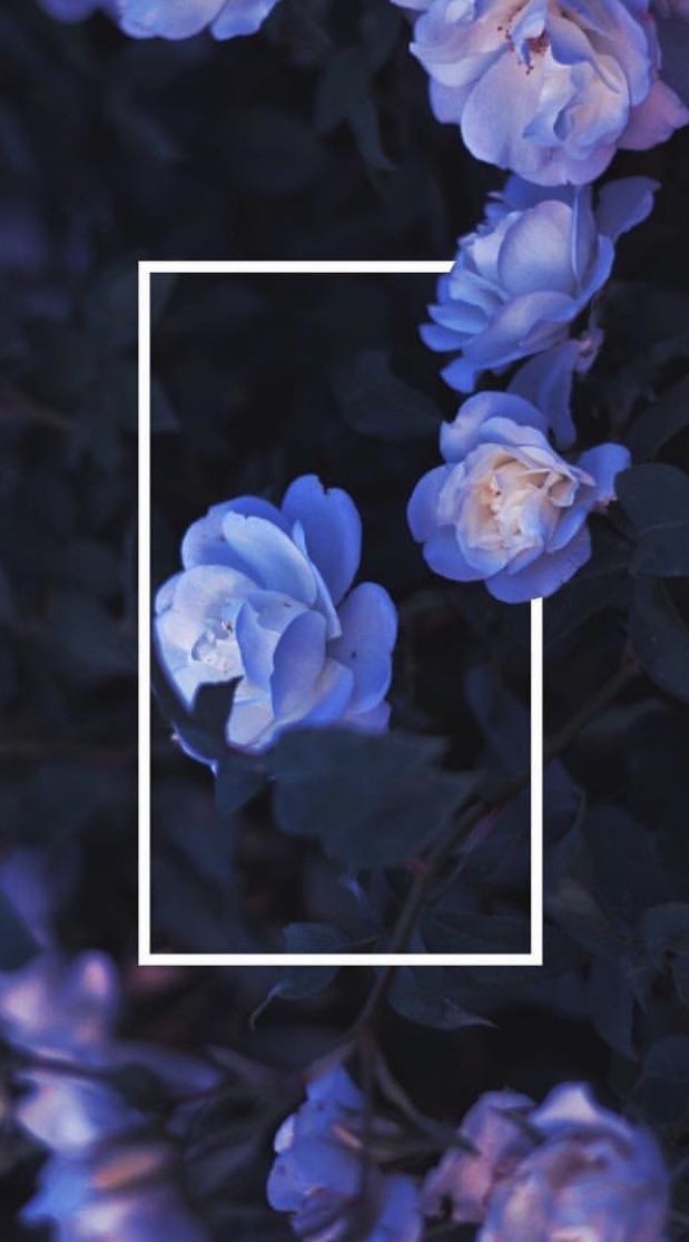 Cool Flower Phone Backgrounds 619x1115 Wallpaper teahub.io