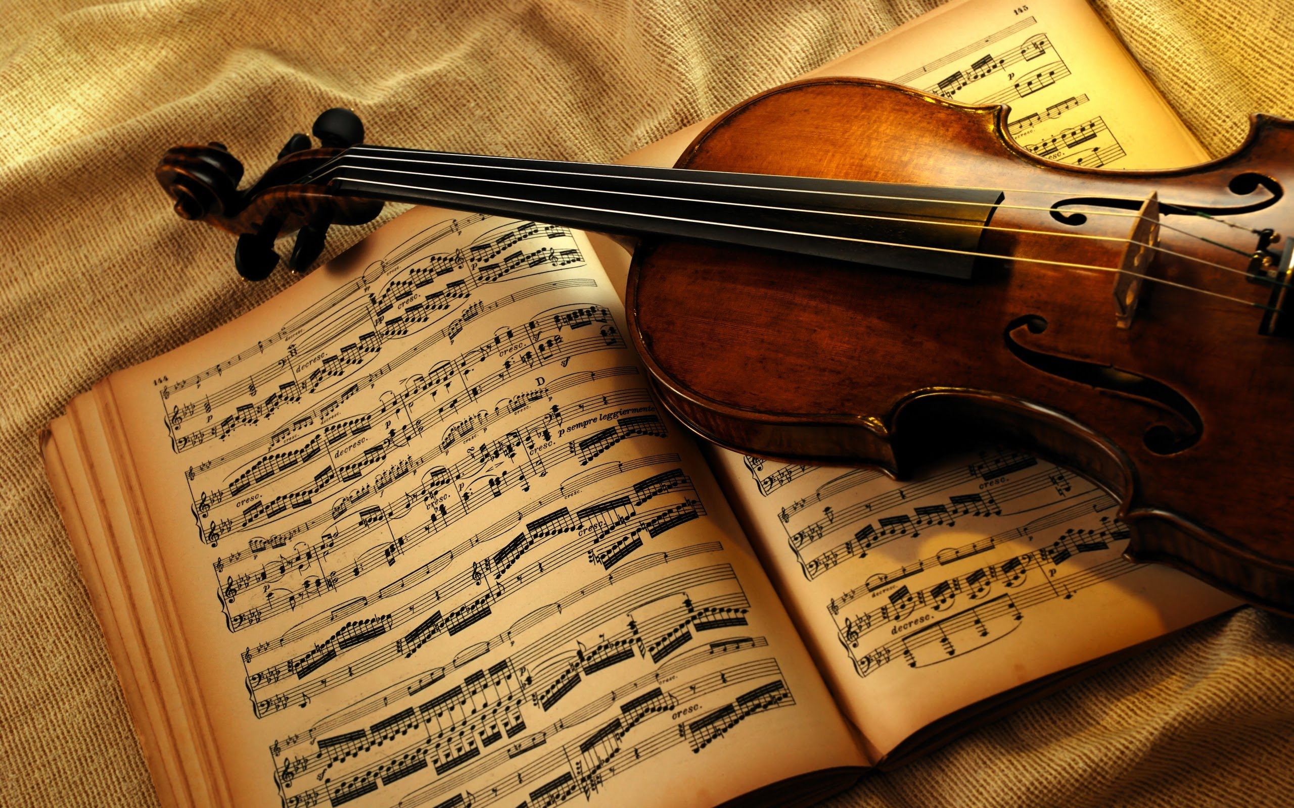 Violin 4k - HD Wallpaper 