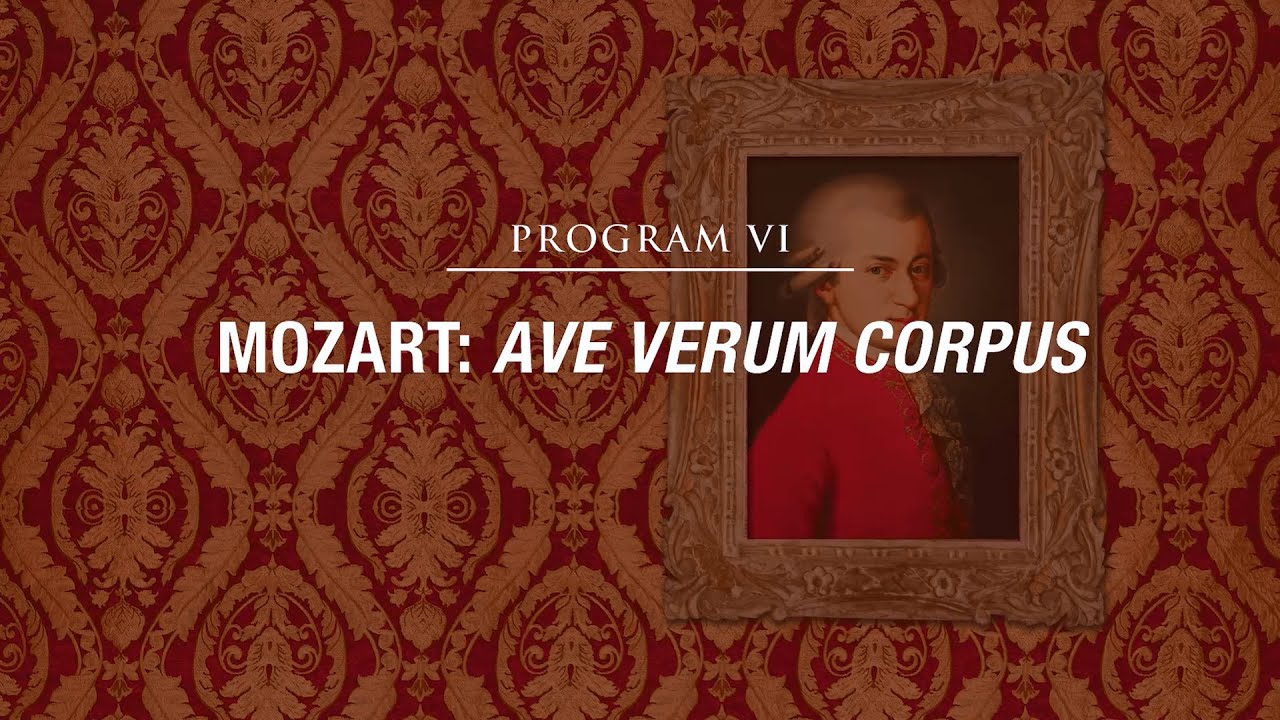 Motif - HD Wallpaper 