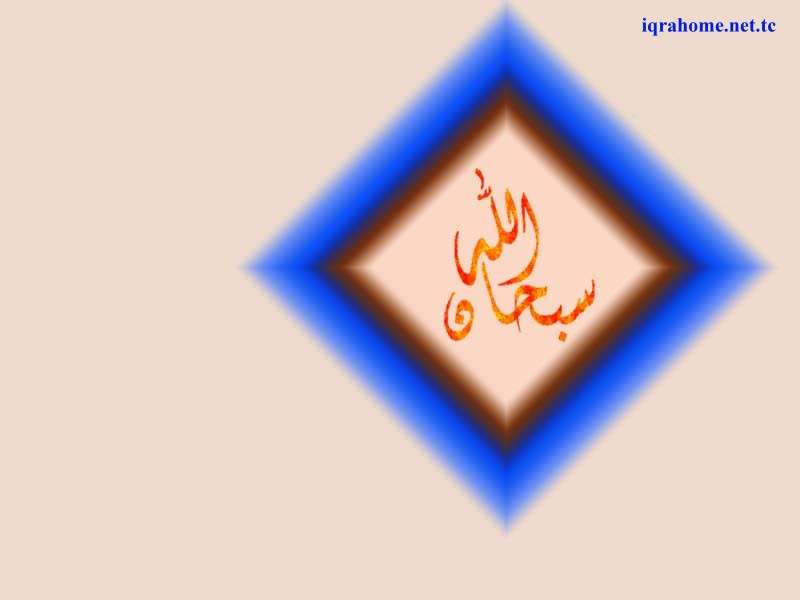 Sales Women - HD Wallpaper 