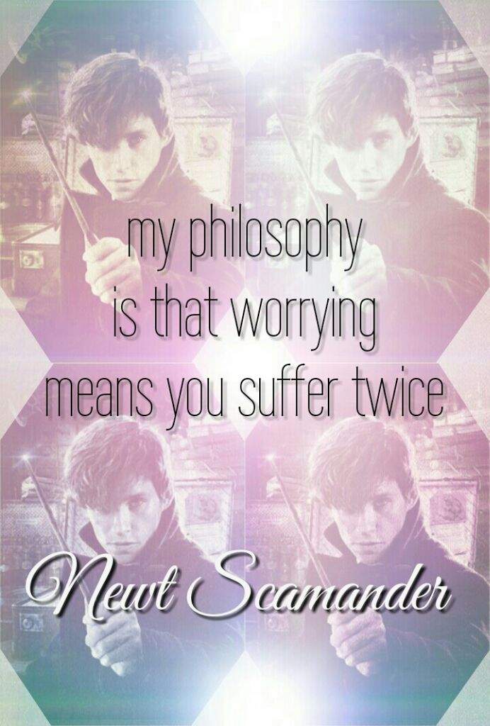 User Uploaded Image - Photo Caption - HD Wallpaper 