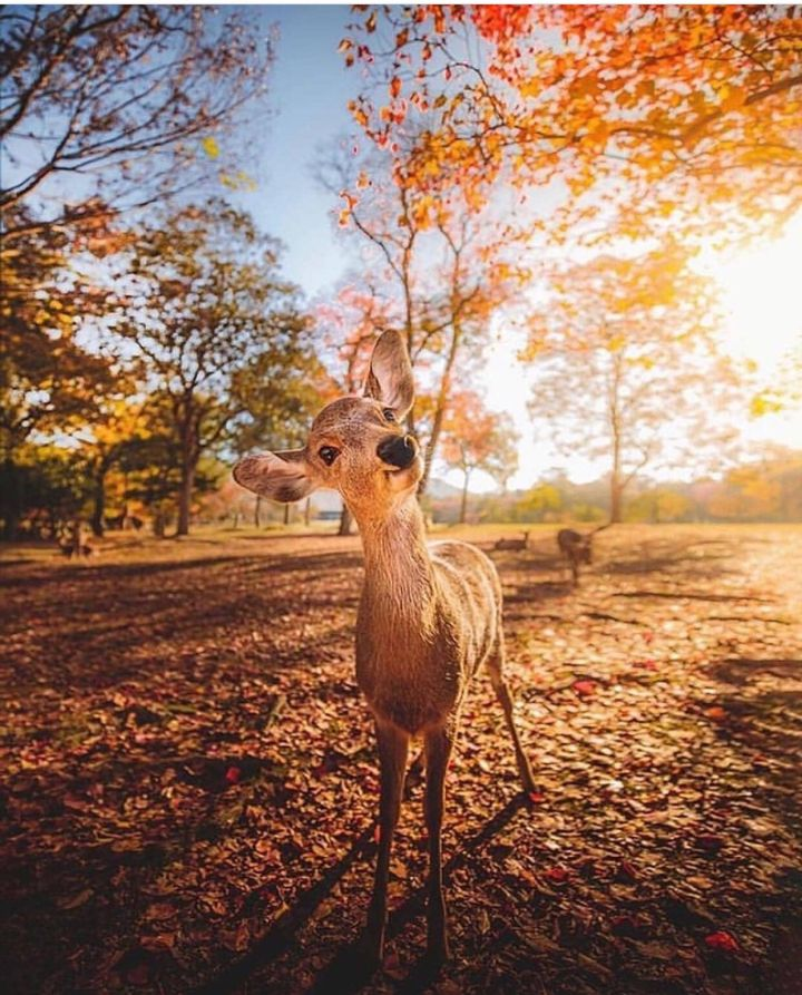 Mesmerizing Pictures Of Nature - HD Wallpaper 