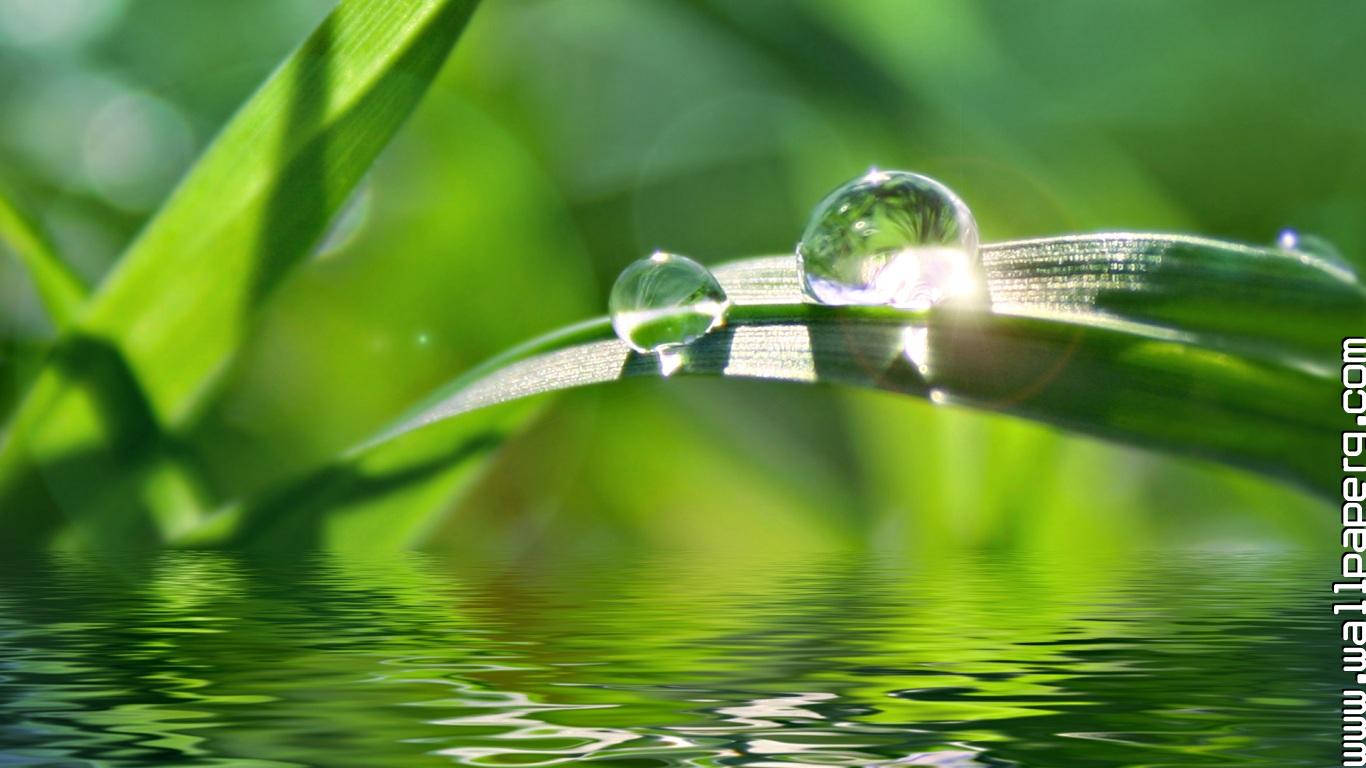 480x854 Hd Wallpapers - 1366x768 Wallpaper 480x854 Hd Wallpapers - 1366x768 Wallpaper