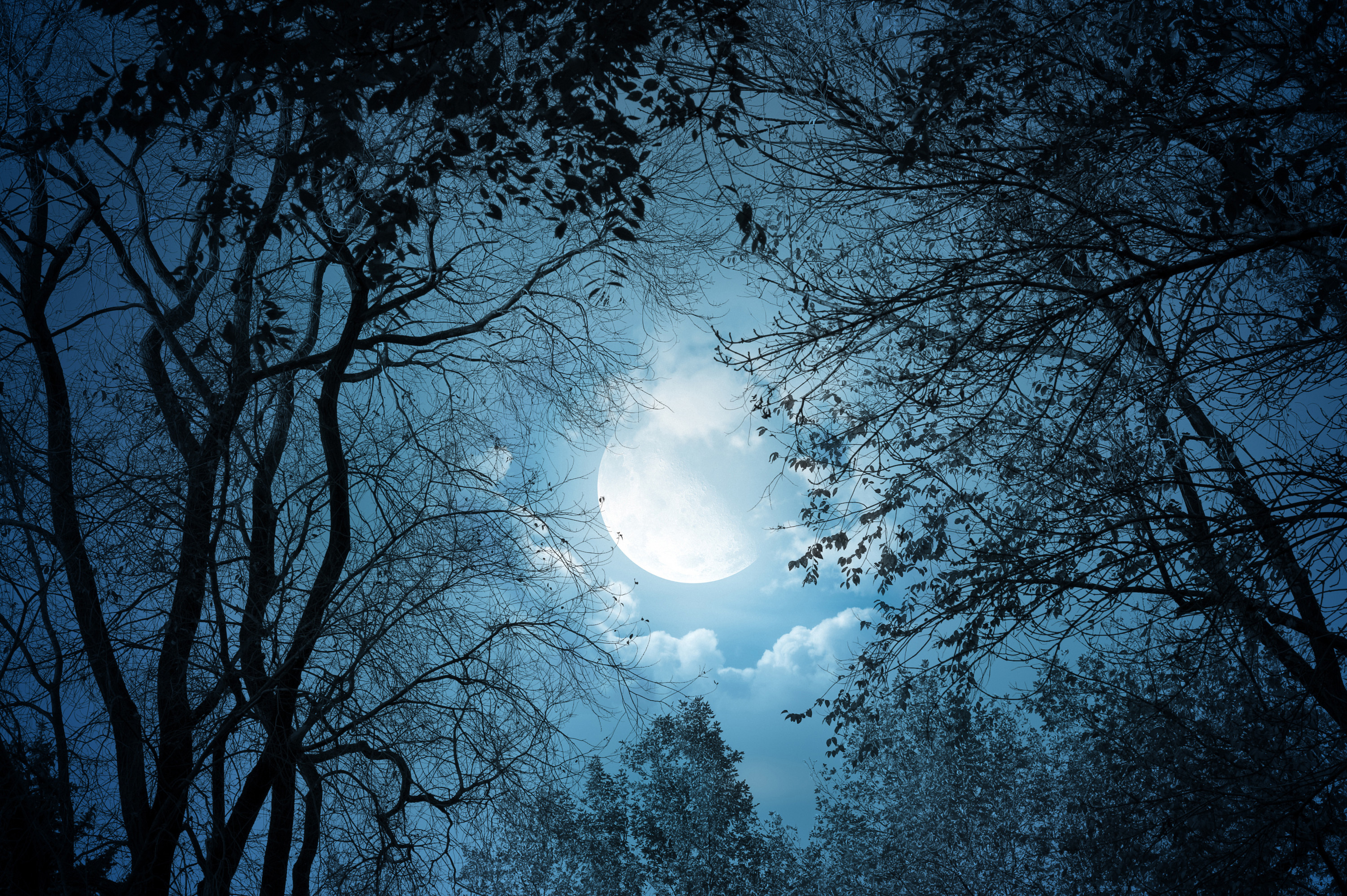 480x854 Hd Wallpapers - 3000x1995 Wallpaper 480x854 Hd Wallpapers - 3000x1995 Wallpaper