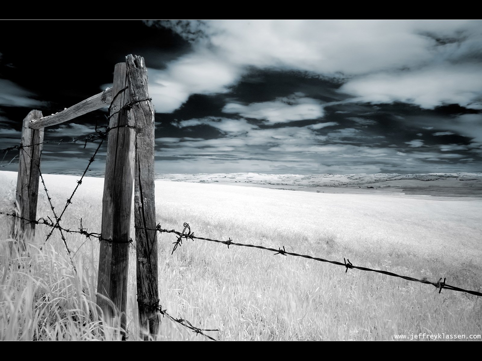 Old Barbed Wire Fence - HD Wallpaper 