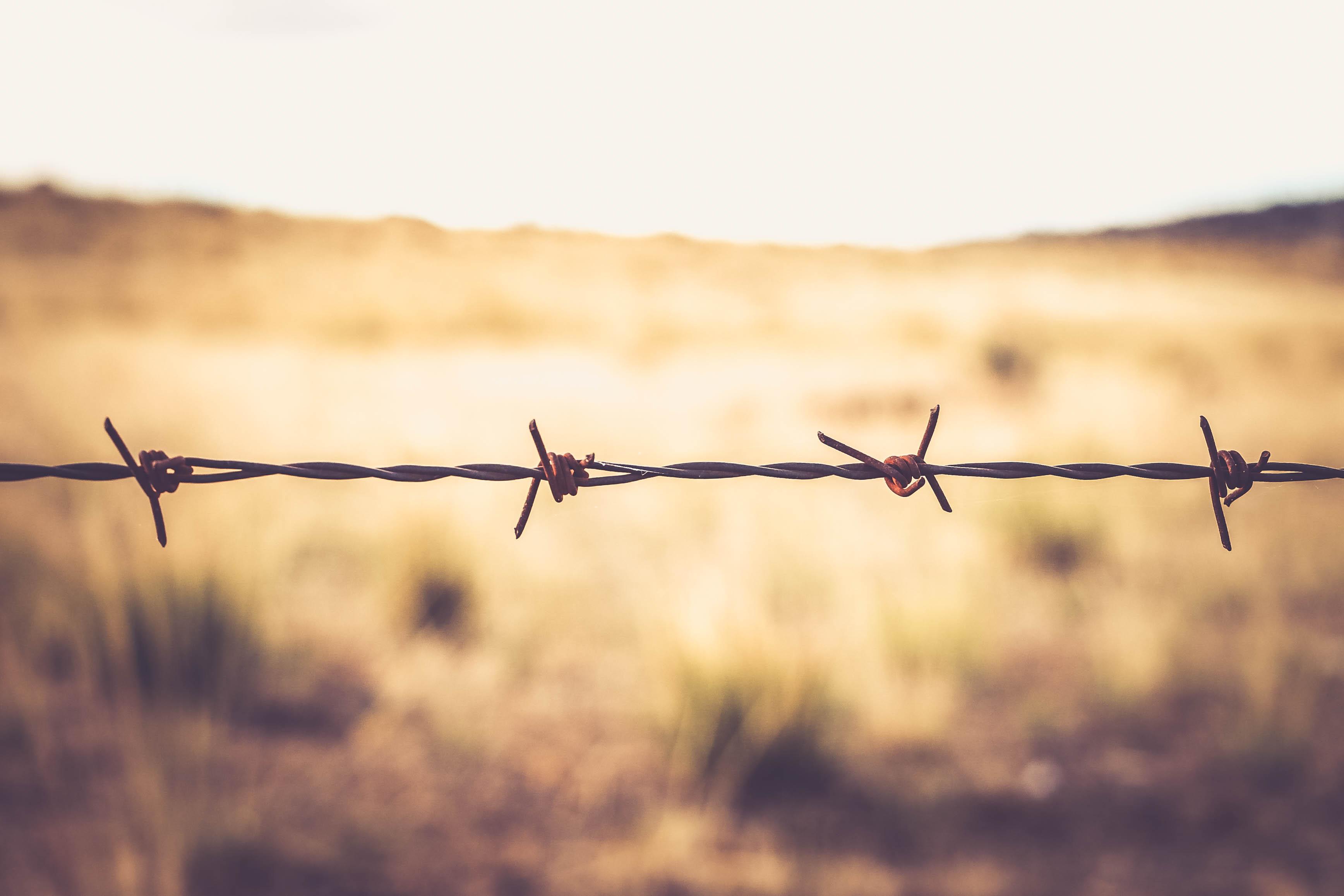 Barbed Wire, Spikes, Macro, Wire, Barbed - Barbed Wire - HD Wallpaper 