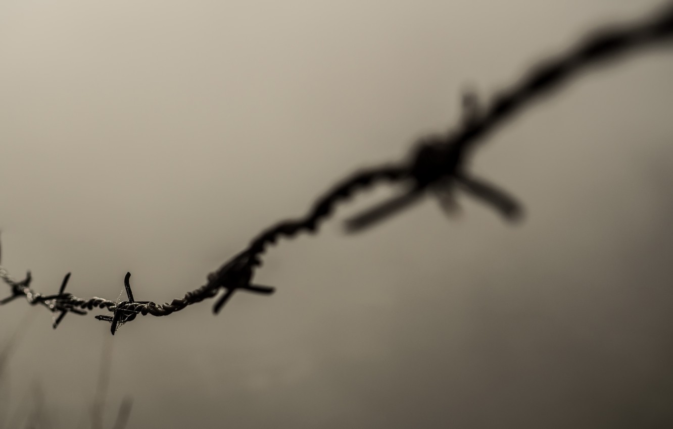 Photo Wallpaper Macro, Background, Barbed Wire - Фон Колючая Проволока