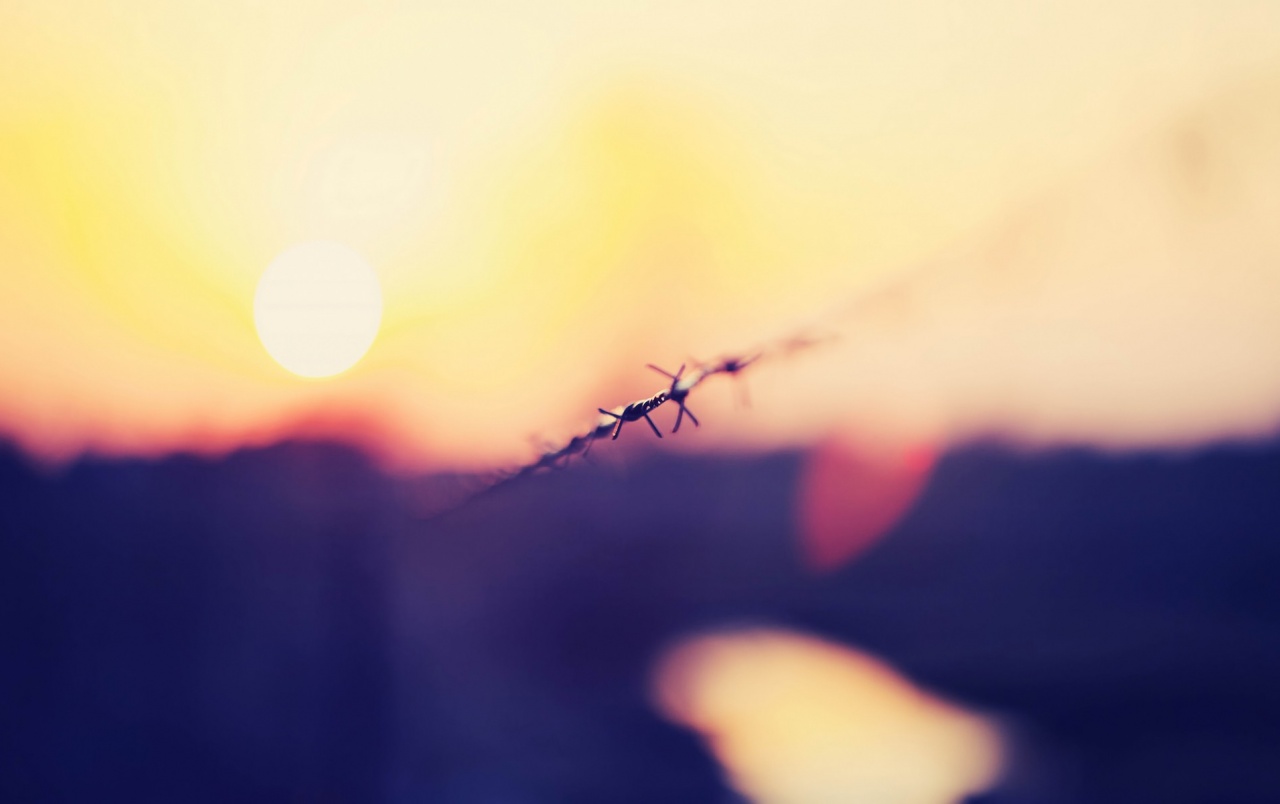 Barbed Wire Macro Wallpapers - Alambres De Puas - HD Wallpaper 