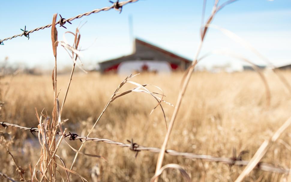 Barb Wire Hd Wallpaper,nature Hd Wallpaper,wire Hd - Field - HD Wallpaper 
