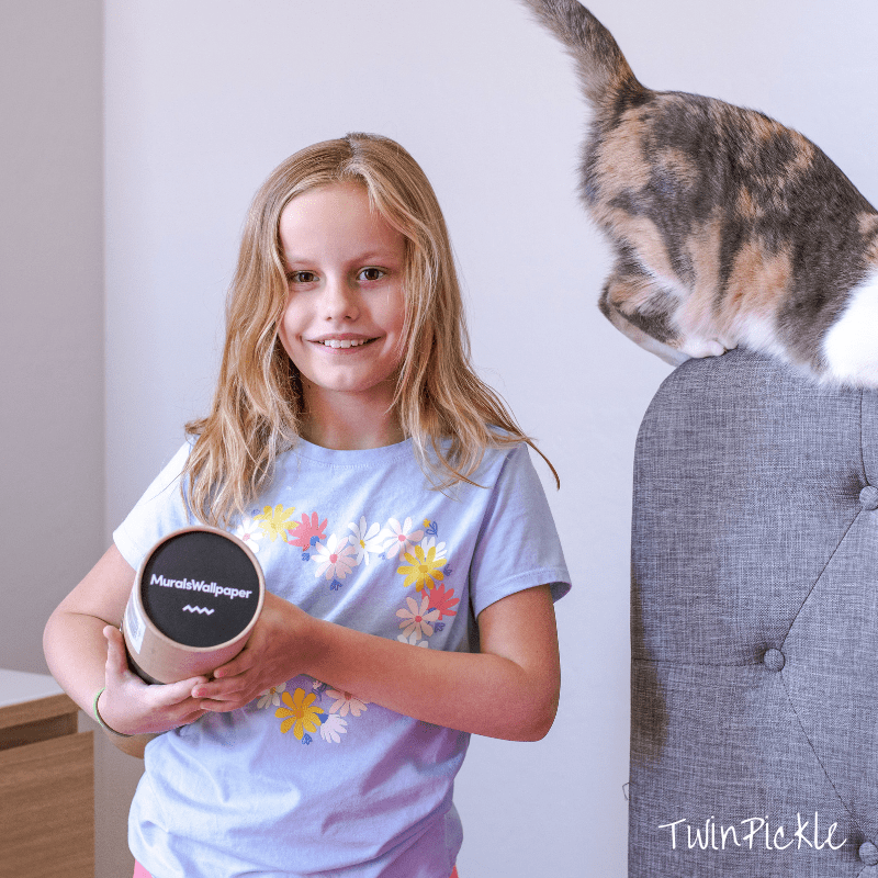 Murals Wallpaper - Domestic Short-haired Cat - HD Wallpaper 