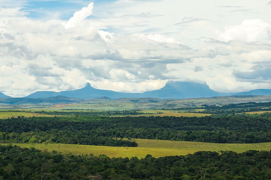 Venezuela, Gran Sabana, Tranquil Scene, Scenics - HD Wallpaper 