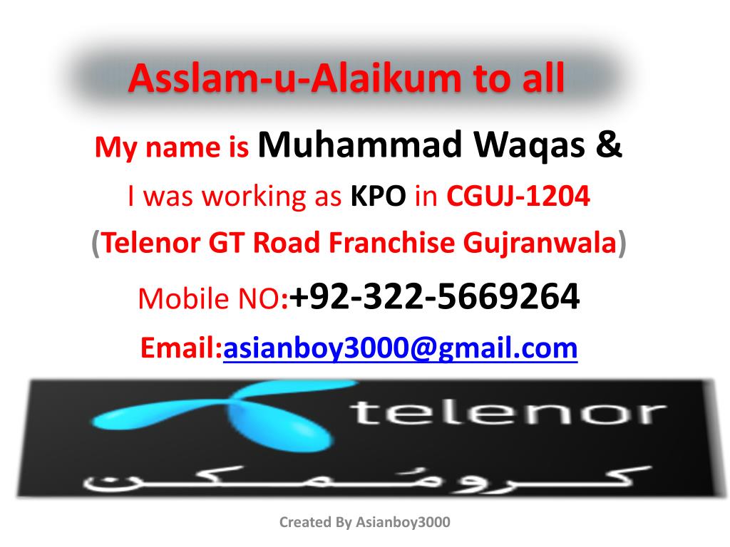 Canine Cabana - HD Wallpaper 