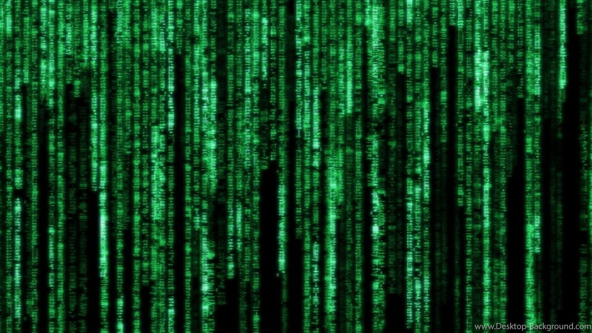 1920x1080, Popular 
 Data Id 358010 
 Data Src /walls/full/9/9/b/358010 - Wallpaper - HD Wallpaper 