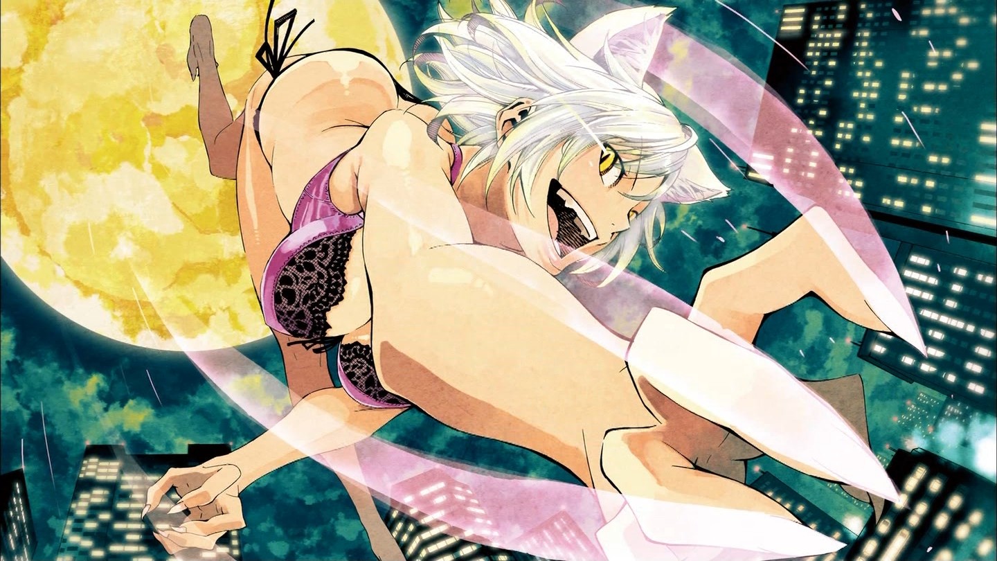 Black Hanekawa - 猫 物語 エンド カード - HD Wallpaper 