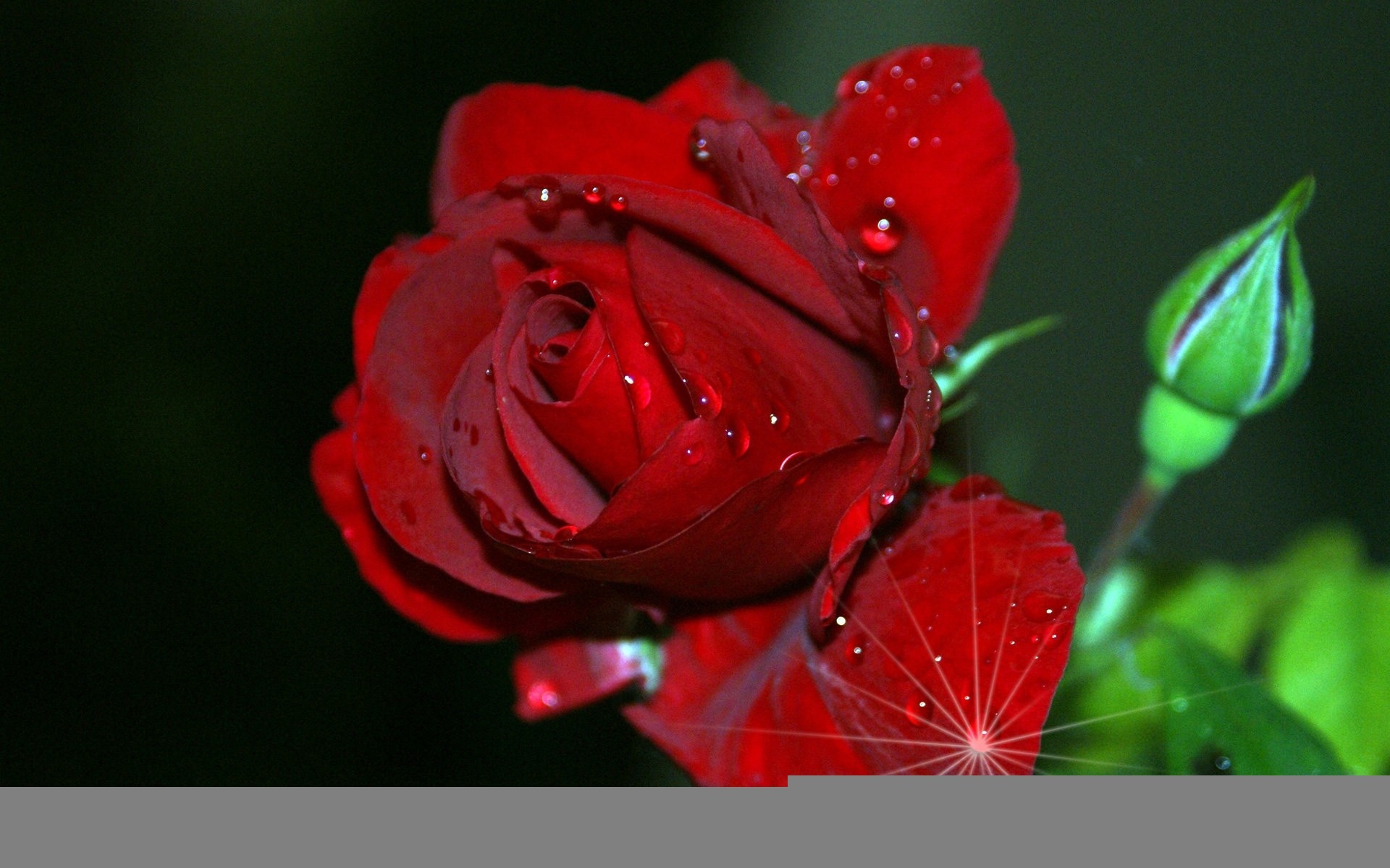 1920x1200, Title - Wallpaper - HD Wallpaper 