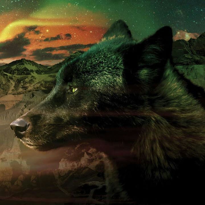 Soundgarden Telephantasm - HD Wallpaper 