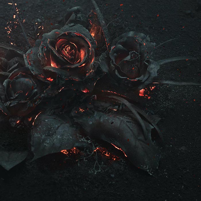 Burned Roses Wallpaper Engine - Black Roses Burning Tattoo - HD Wallpaper 