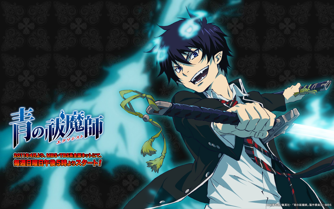 Blue Exorcist Rin And Yukio - HD Wallpaper 