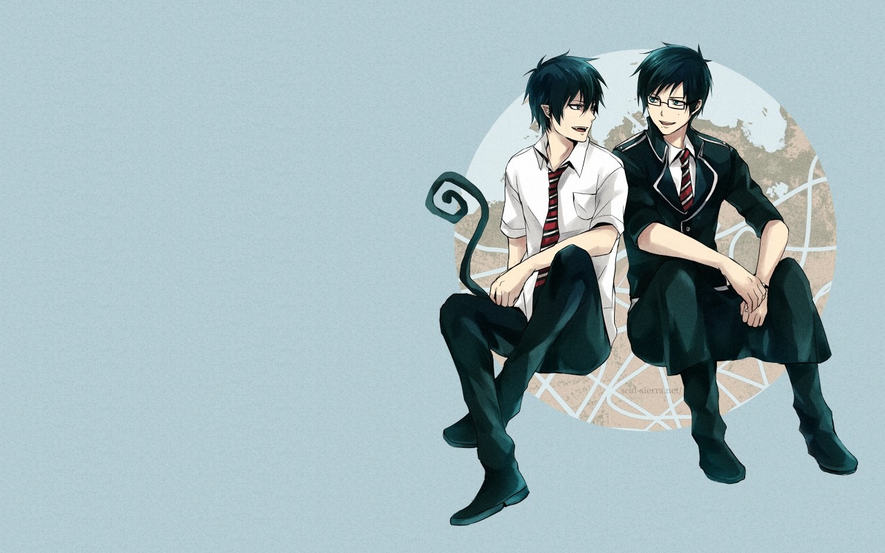 Blue Exorcist Rin And Yukio - HD Wallpaper 