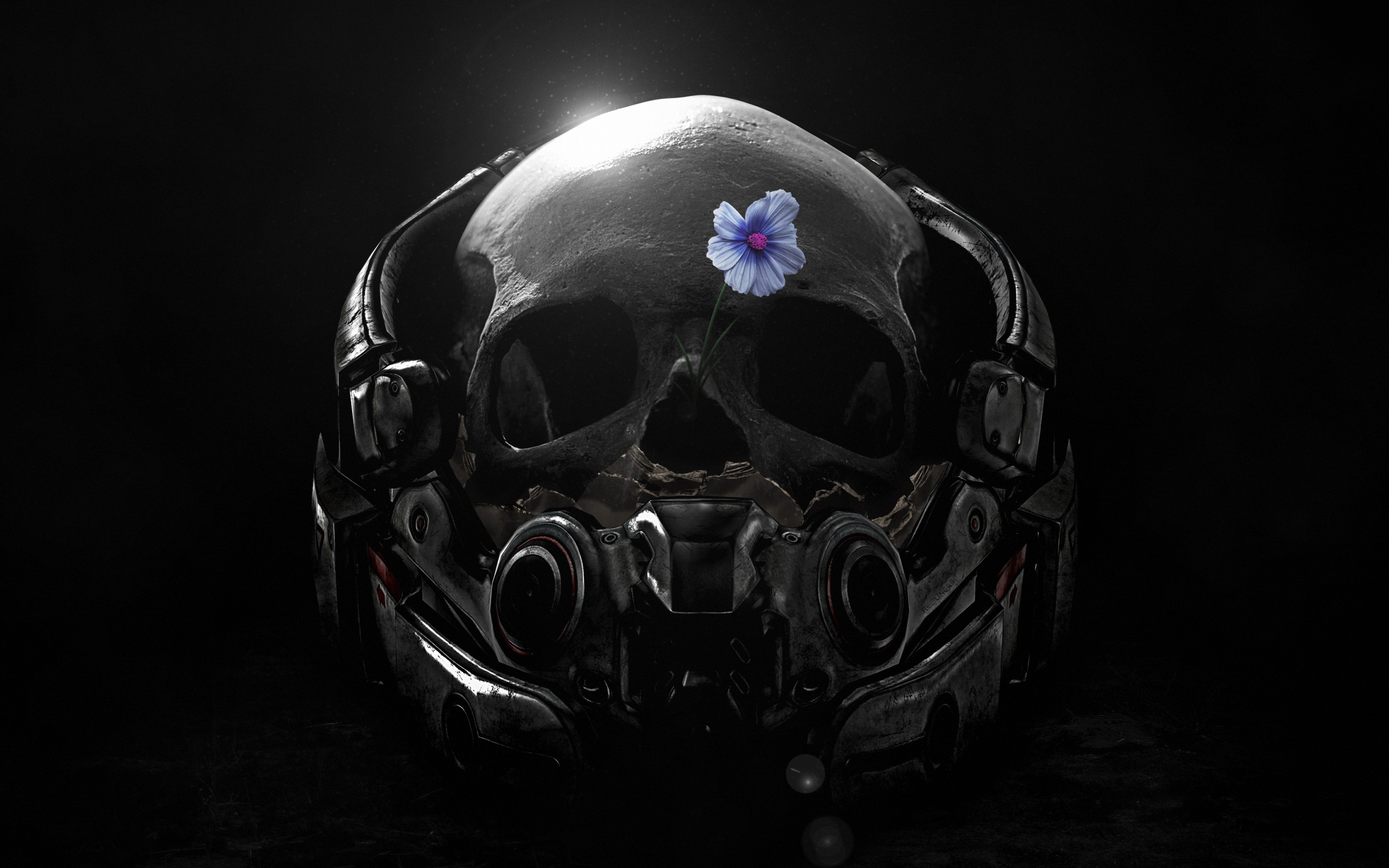 Black Skull Wallpaper Hd - HD Wallpaper 