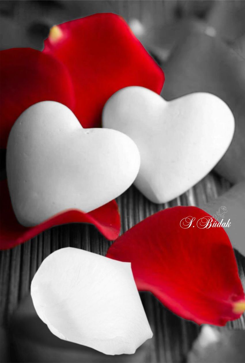 Love Good Evening Wishes - HD Wallpaper 