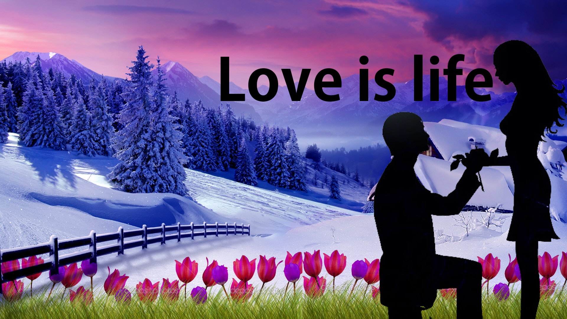 Love Is Life Image Hd Download - HD Wallpaper 