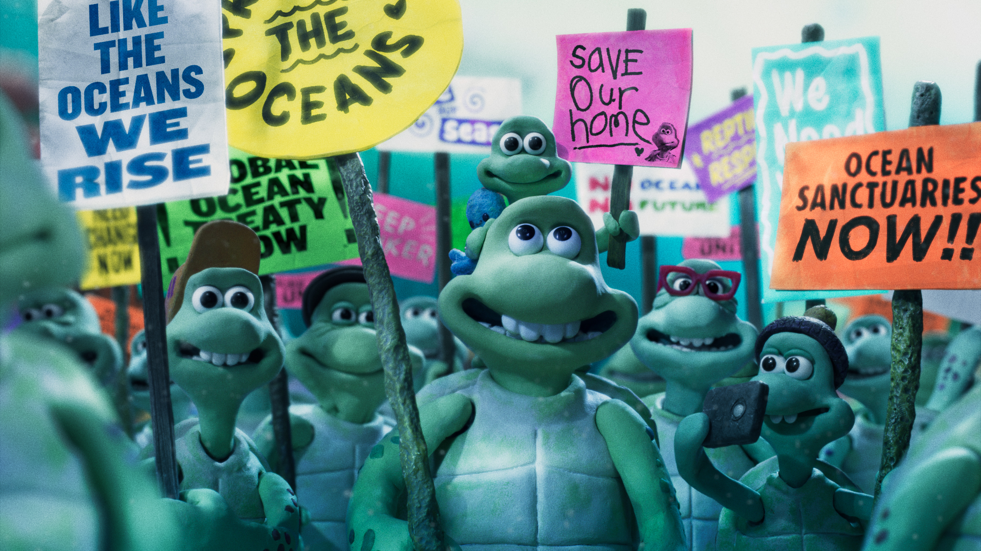 Greenpeace Turtle - HD Wallpaper 