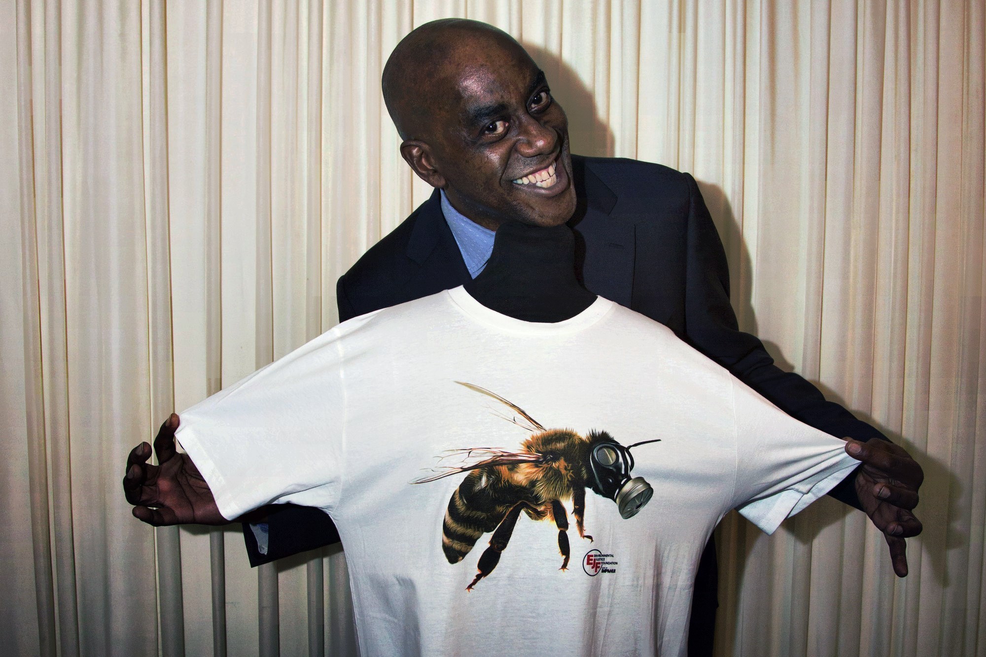 Honeybee - HD Wallpaper 